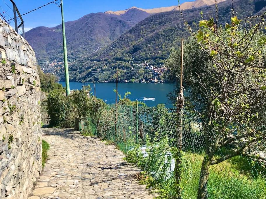 Romantic Home Stone With Amazing View Lake Of Como And Oleandra Laglio Eksteriør billede