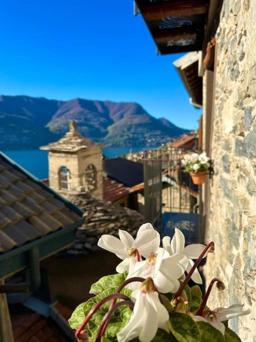 Romantic Home Stone With Amazing View Lake Of Como And Oleandra Laglio Eksteriør billede